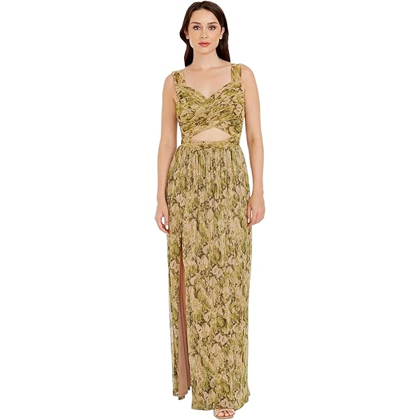 Dress the Population Womens Embellished Plunging Gown Sleeveless Floral  Long Dress, Begonia Sidney, XX-Small at Amazon Women's Clothing store