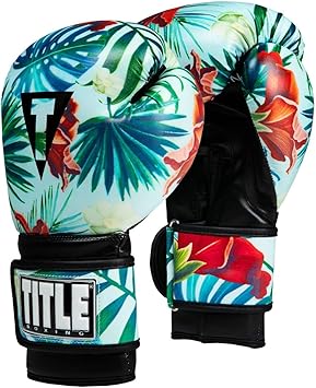 title boxing gloves amazon