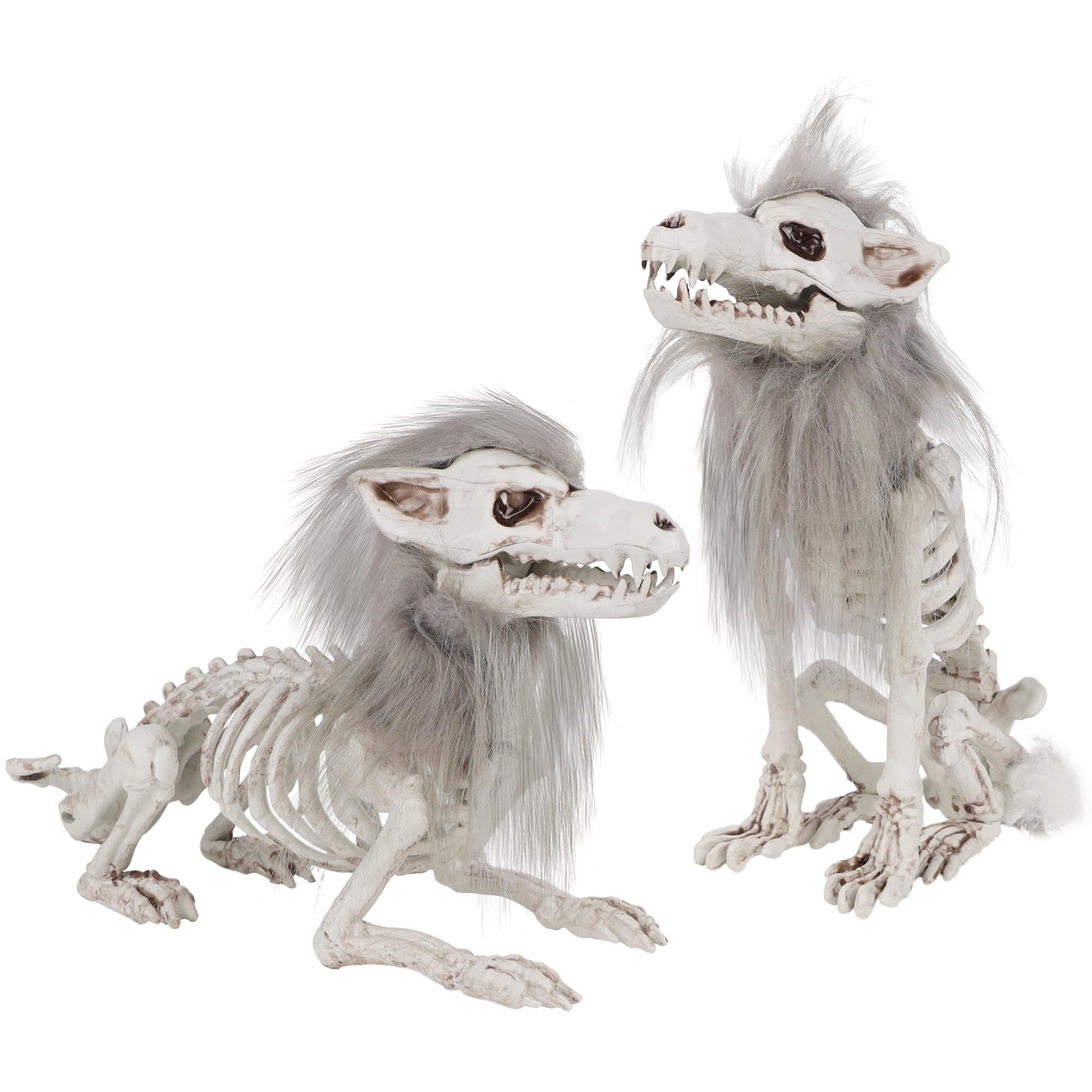 Photo 1 of DR.DUDU 2 Pack Halloween Skeleton Wolf Decorations, Life Size Animals Skeletons Poseable Halloween Decor Plastic Bones with Hair Wolf Skull Figurines for Table Yard Lawn Party Props Décor
