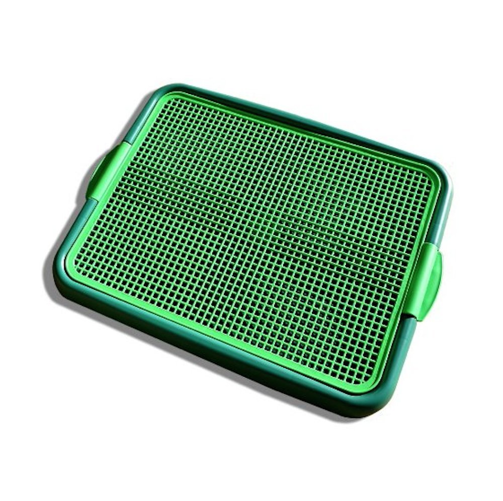 Any Pet Indoor Dog Training Toilet