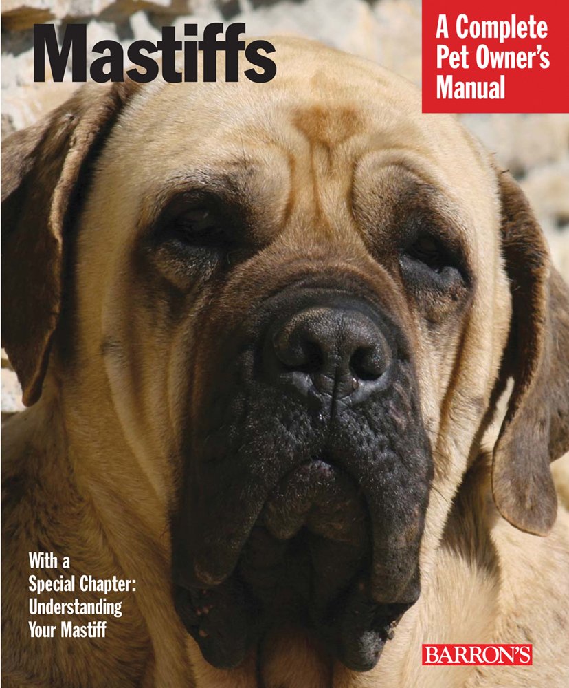 all about mastiffs