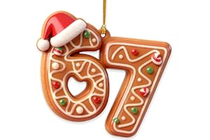 67 Ornament,67 Christmas Ornament, Funny 67 Xmas Ornament, Personalized Six Seven Xmas Meme Ornament 67 Ornaments for Gifts f