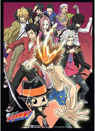 Amazon Co Jp ウォールスクロール Reborn 新しいvongola Dying Wish Toys Licensed Ge おもちゃ