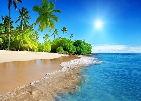 Yongfoto 3x2m Vinyle Toile De Fond Plage Tableau Paysage Mer Ciel Bleu Nuages Blancs Palmier Fond Pour Photo Portrait Studio Photo Banner Video Hawaii