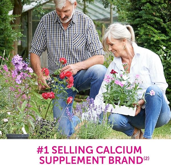 CALTRATE CALCIUM & VITAMIN D SOFT CHEWS VANILLA CREME 60 EACH (PACK OF 2)