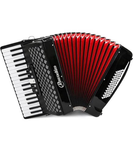 Amazon.com: Hohner Amica Forte IV 96 Chromatic Piano Key Accordion