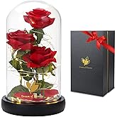 Valentines Day Gifts for Her,Valentines Decor Beauty and The Beast Rose Flowers with 40 LED Lights Rose in Glass Dome,Enchanted Rose Valentines Flowers Birthday Gifts for Women Girlfriend Mom Wife