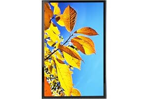 Aynoo 16x24 Poster Frame in Black, Thin Border Photo Frame,Display Posters 16x24 Picture Frames, Wall Mounting Collage Poster Frame,Black, 1Pack