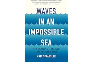 Waves in an Impossible Sea: How Everyday Life Emerges from the Cosmic Ocean