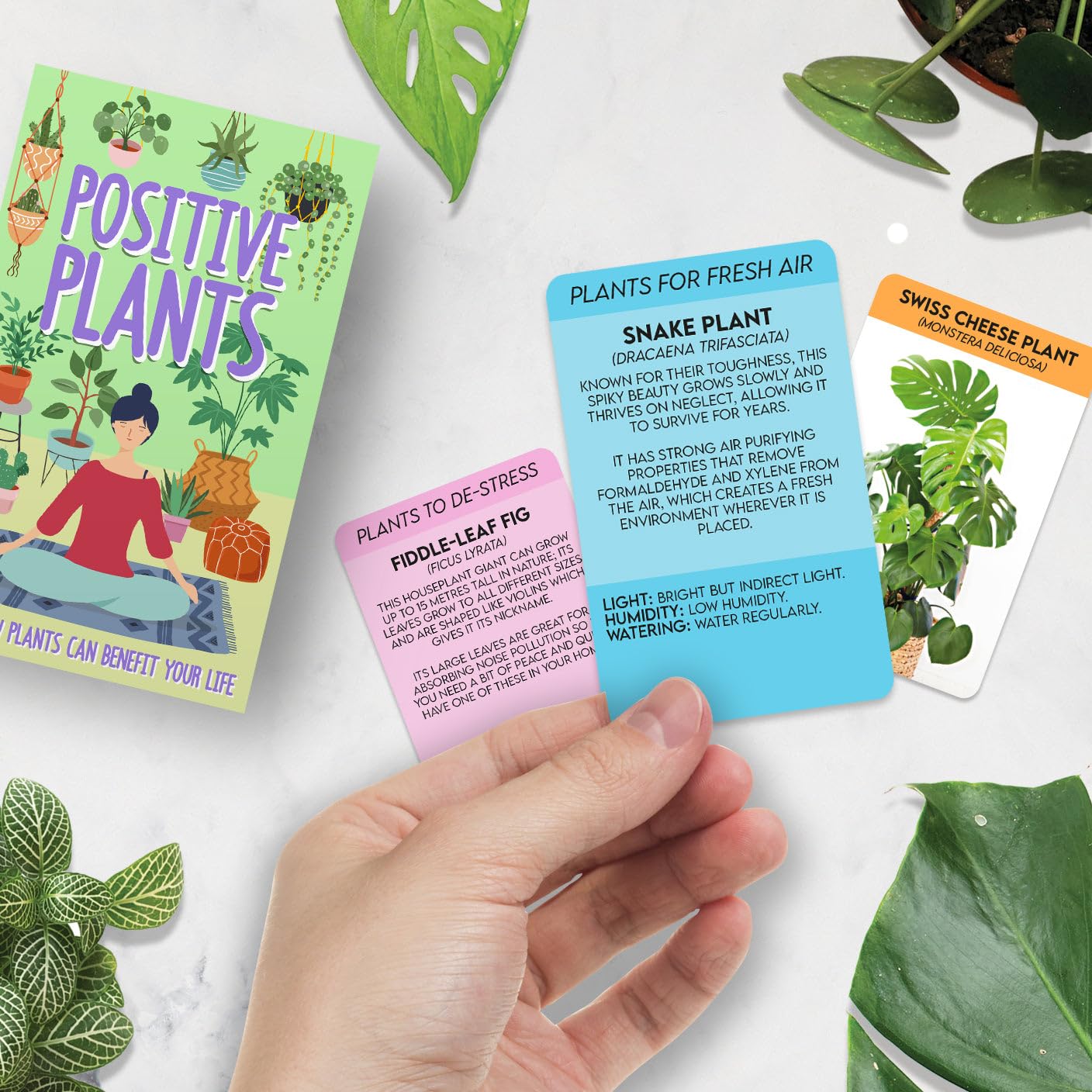 Gift Republic Positive Plants Card Pack