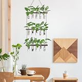 XXXFLOWER Wall Hanging Propagation Station with 15 Test Tubes view 4