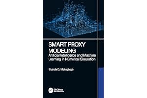 Smart Proxy Modeling: Artificial Intelligence and Machine Learning in Numerical Simulation
