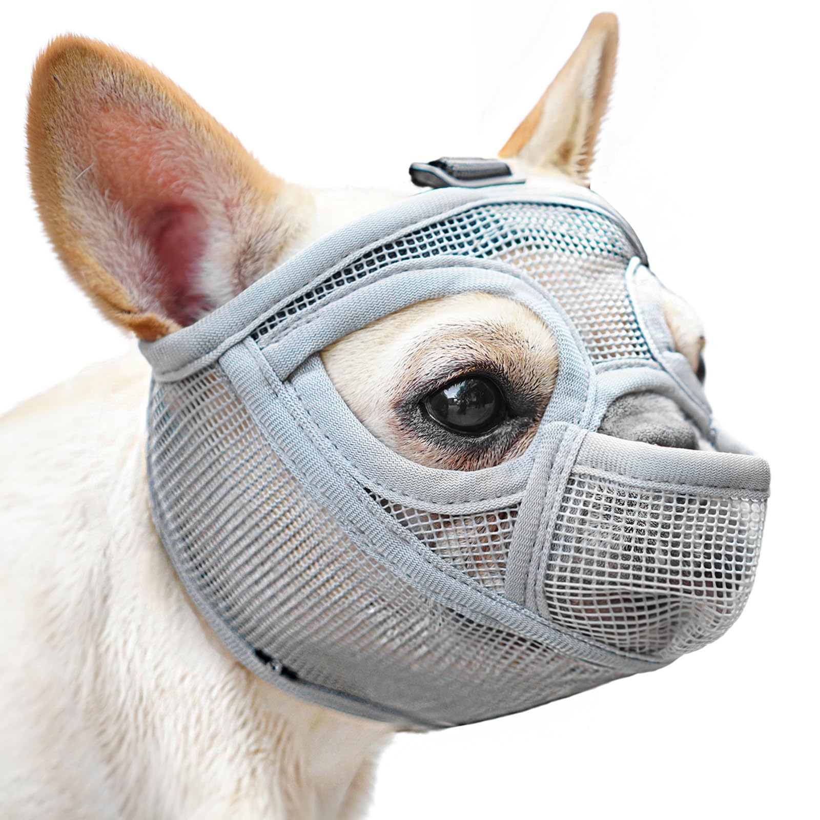 Photo 1 of Mayerzon Short Snout Dog Muzzle for French Bulldog with Full Pant Design to Prevent Eating Biting, Soft Mesh Dog Muzzle for Shih Tzu Pug English Bulldog for Grooming Walking, Allow to Drink and Feed