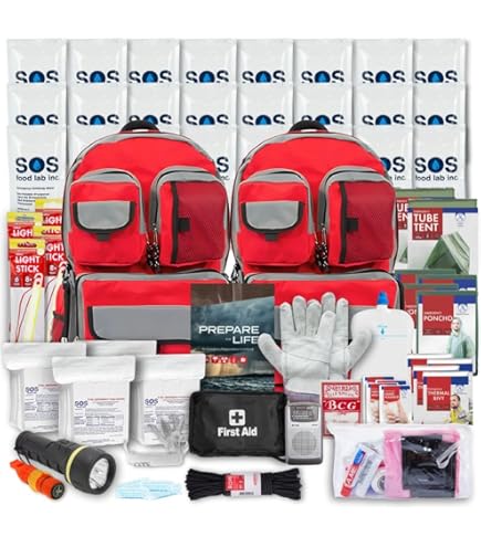 Camping Essentials American Red Cross 3-Day Emergency Backpack