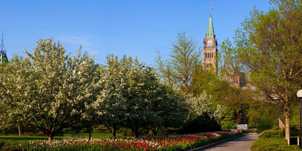 Which Is The Best Canada Pariliament Building