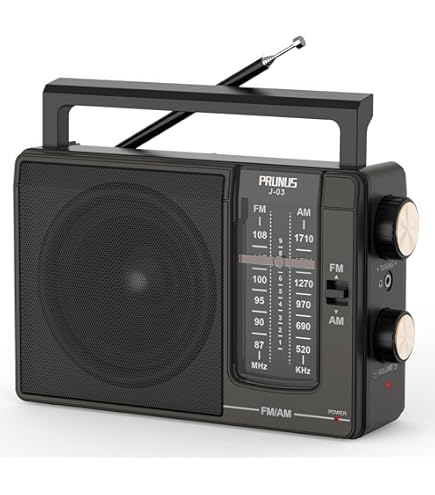 PRUNUS Portable AM/FM Radio with Loud Speaker and Aux/Mic Inputs