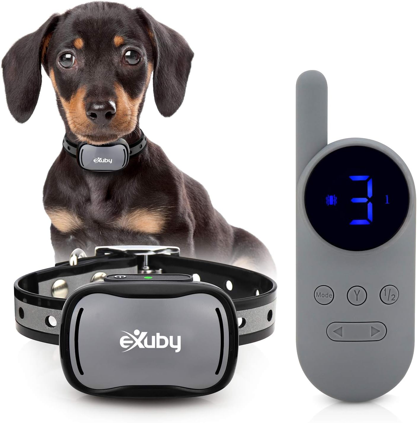 best dog shock collar for small dogs