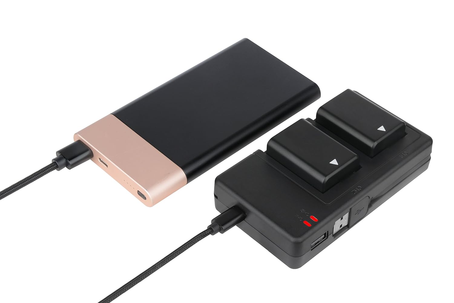 NPFW50 Dual Channel Battery Charger Charger + USB Charging Cable