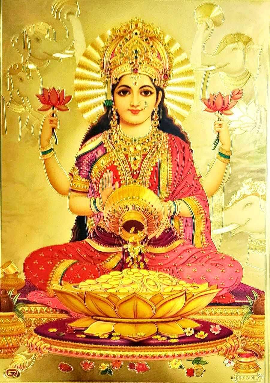 Photographs - Suninow laxmi ji photo ( 8 x 12 inch )