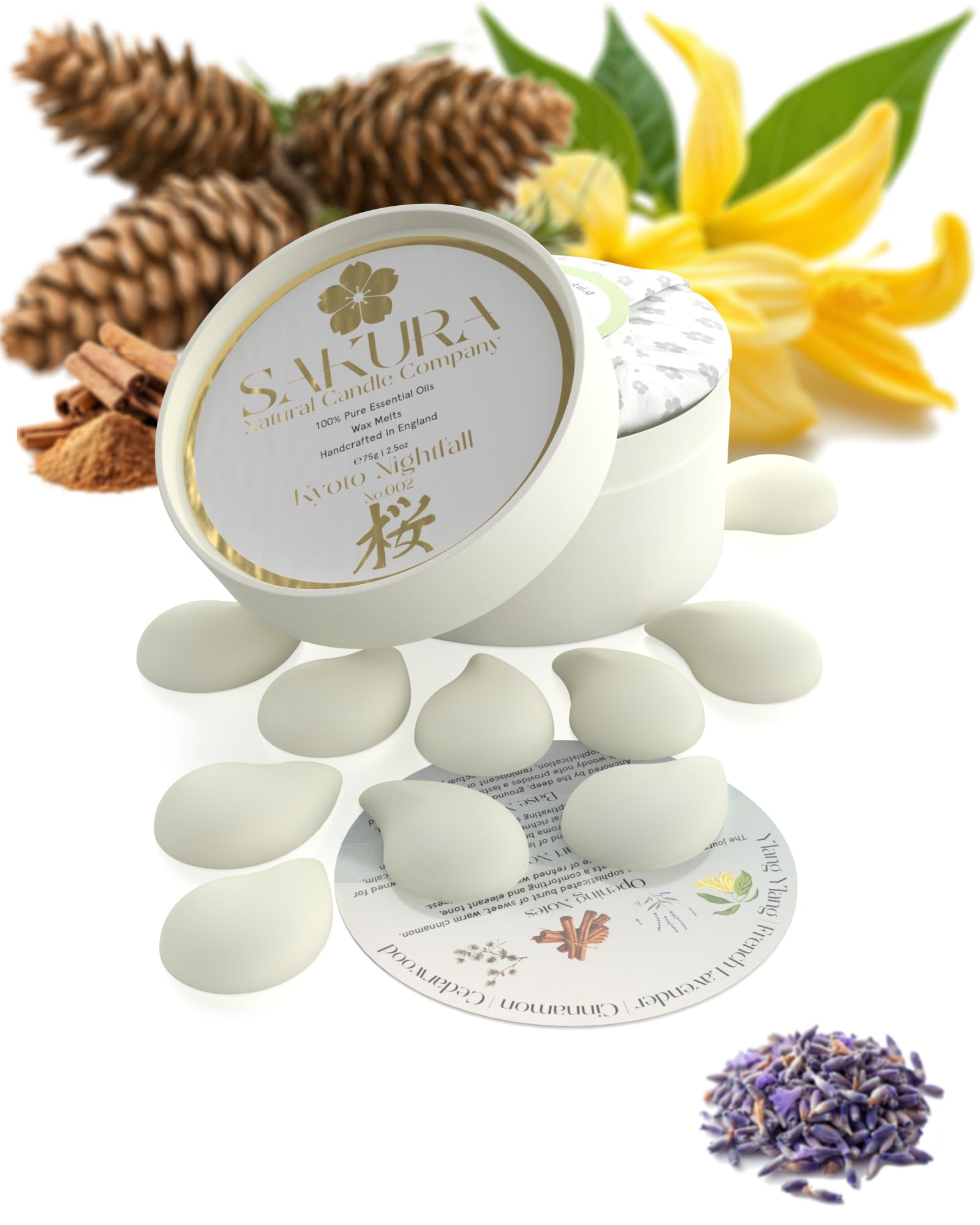 Wax Melts Kyoto Nightfall - Luxury Hand-Poured, Strong Scented with 100% Pure Essential Oils for Relaxation & Sleep - Aromatherapy 10 Pack Gift Set - Perfect for Calm Evenings and Stress Relief — image 1