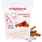 XyloBurst - Xylitol Mints | Sugar Free Breath Mint for Oral Health | Gluten Free, Vegan, Keto Friendly | Aspartame Free Mints | Cinnamon | 275 Count