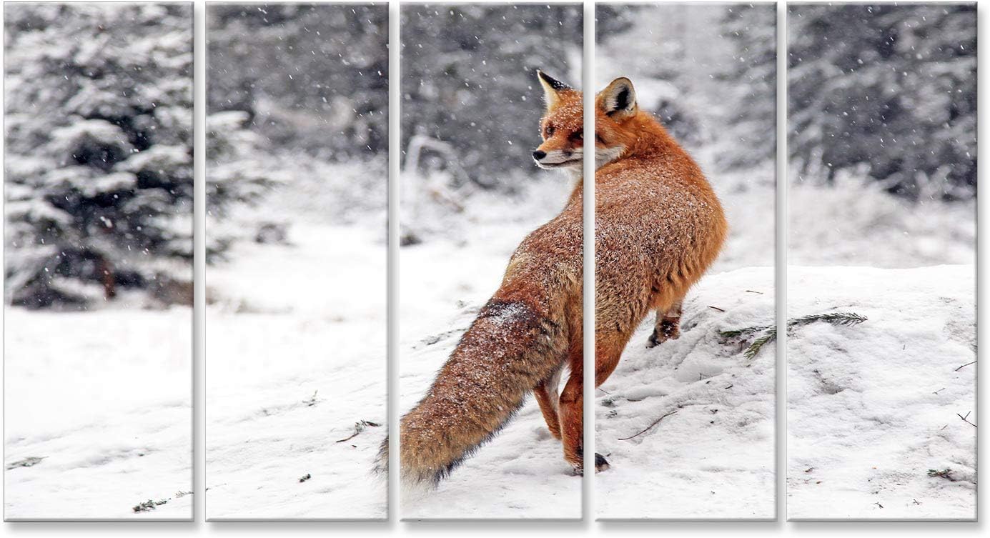 Images Islandburner Tableau Tableaux Sur Toile Le Renard Roux Dans La Neige Image Impression Poster Impressions Sur Toile Tableaux Posters Et Arts Decoratifs Napravi Rs