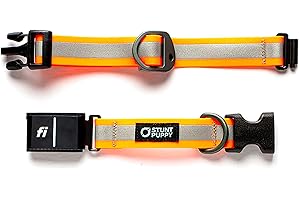 Stunt Puppy Dog Collar, Fi Series 3 and 3+ Ready, Large, Reflective Orange - Compatible with Fi GPS Device (Not Included)