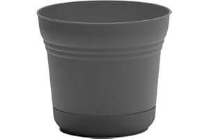 Bloem Saturn Round Planter with Saucer Tray: 12" - Charcoal - Durable Plastic Pot, Matte Finish, Removable Saucer, for Indoor & Outdoor Use, Gardening, 3 Gallon Capacity