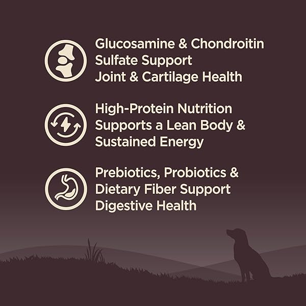 WELLNESS CORE AGE ADVANTAGE SENIOR DRY DOG FOOD, GRAIN FREE KIBBLE, NATURAL, HIGH PROTEIN, TURKEY AND CHICKEN RECIPE, 4 LB BAG