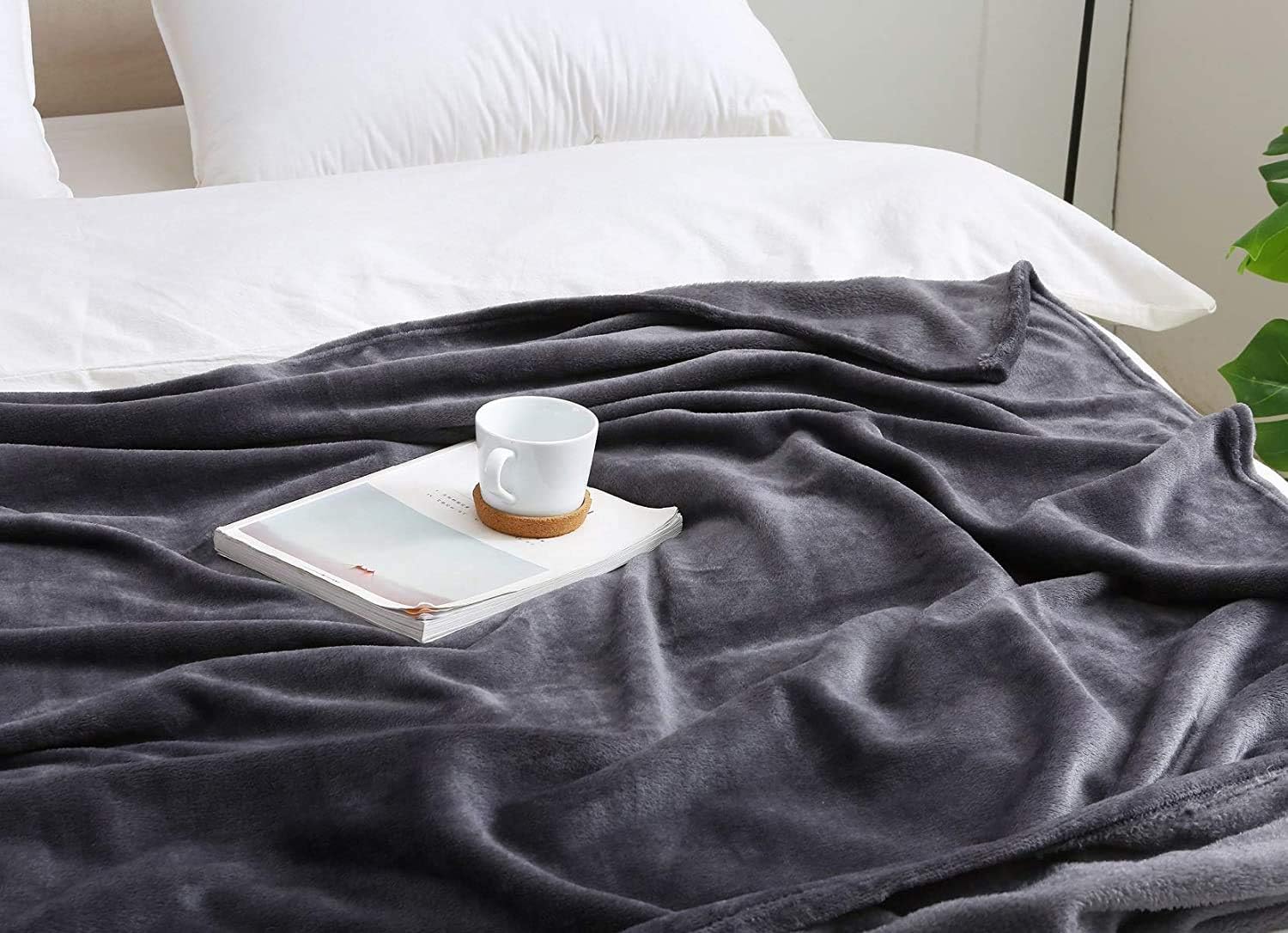 BEAUTEX Fleece Blanket Twin Size Grey Blanket Throw Super Soft Flannel Blanket Lightweight Fuzzy Plush Blanket for Couch Sofa or Bed All Seasons (Graphite Grey, 60" x 80"): Kitchen & Dining