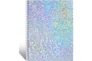 Dajino Large Reusable Sticker Book Collecting Album 8.5×11 Inch Sticker Storage Collection Organizer Book for Adult with 40 Sheets Letter Size Blank Release Paper and Holographic Cover (Fragment)