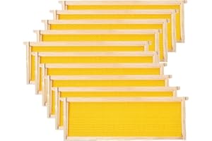 POLLIBEE Medium or Super Bee Hive Frames and Wax Foundations,10 Pack Honey Bee Frames with Beeswax Coated Food Grade Foundation Sheets, Beekeeping Supplies,6-1/4-Inch (Yellow)