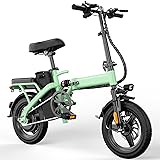 Foldable Electric Bike for Adults and