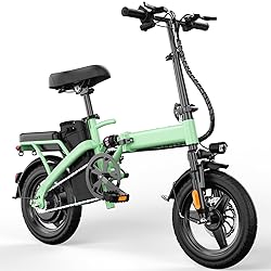 Foldable Electric Bike for Adults and