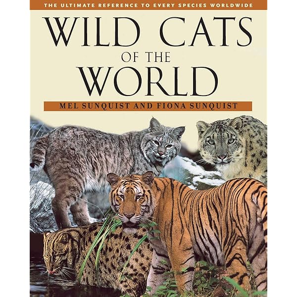 洋書 The Wild Cat Book Amazon.com: The Wild Cat Book: Everything You Ever Wanted to