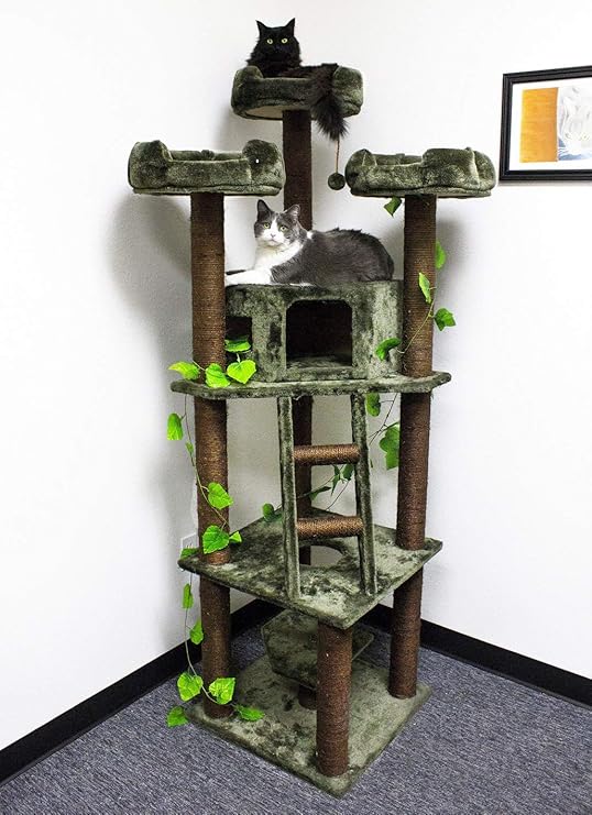 cat tower no carpet