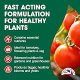 Doff 3L Tomato Pour and Feed Plant Fertiliser for Tomatoes Vegetables Flowers view 3