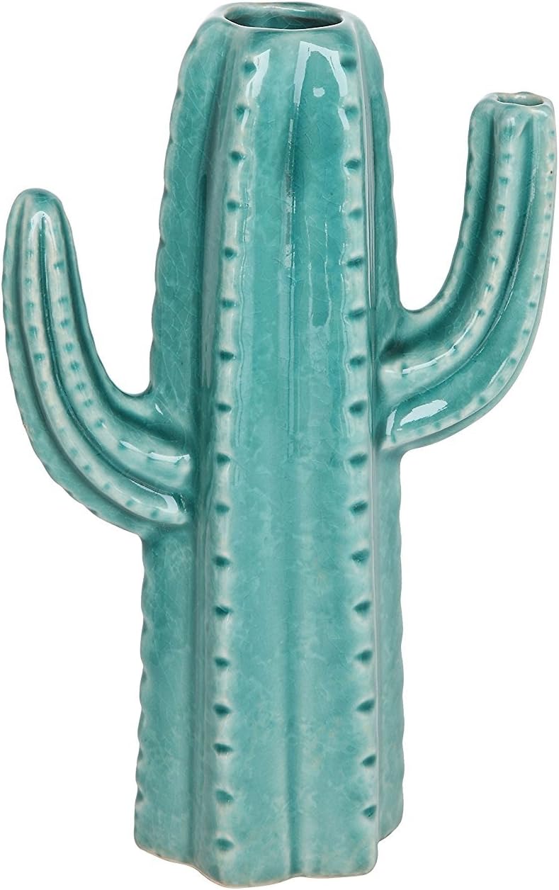 The 10 Best Home Decor Cactus
