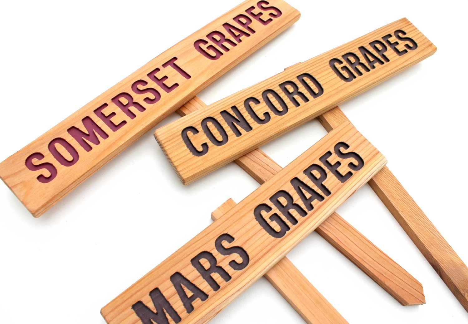 WINE GRAPES Garden Sign, Somerset Grape Marker, Concord