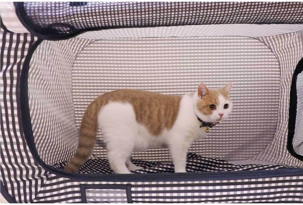 Necoichi Portable Stress Free Cat Cage Always Ready to go!: Pet Supplies