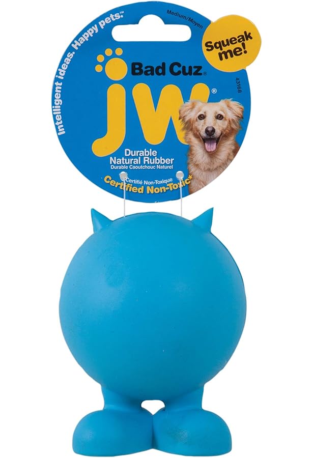 chunky chocolate labrador puppies