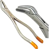 German Dental Extracting Forceps #151-Lower Bicuspid, Lower Incisor, Lower Root, Universal Extraction Forceps Dental Instruments -Cynamed