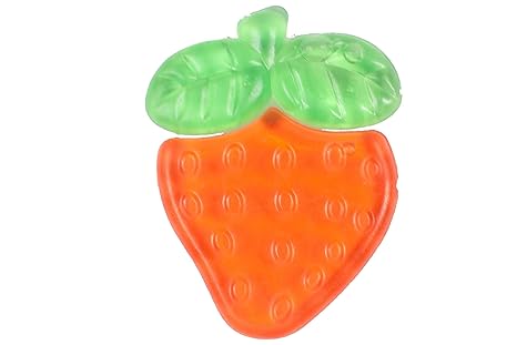 fruit teether age