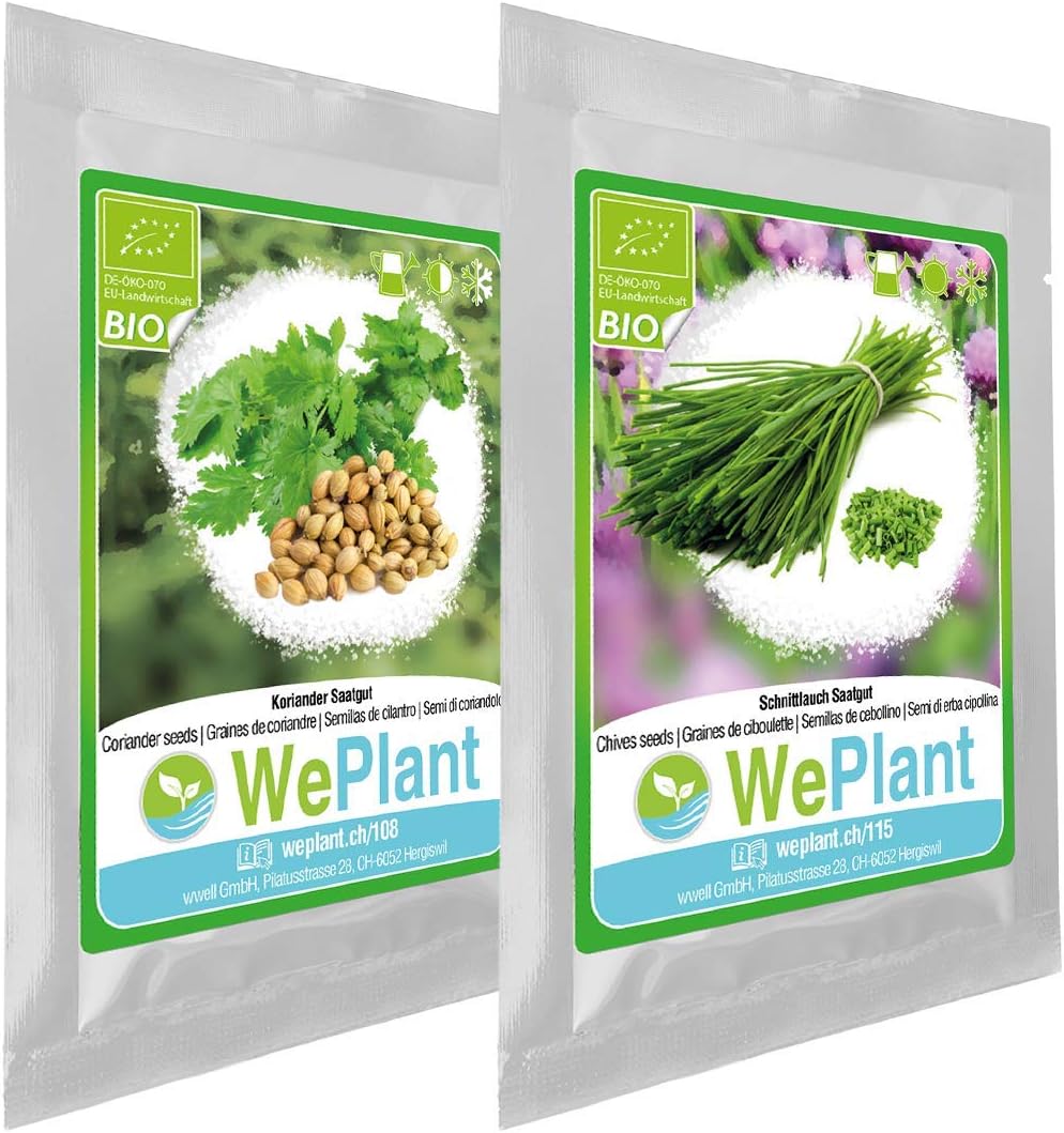 BIO/ORGANICO Cilantro & Cebollino - Semillas ecológicas de plantas ...