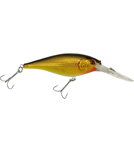 FLEYE（フライ）Troll-569 FLEYE（フライ）Troll-569