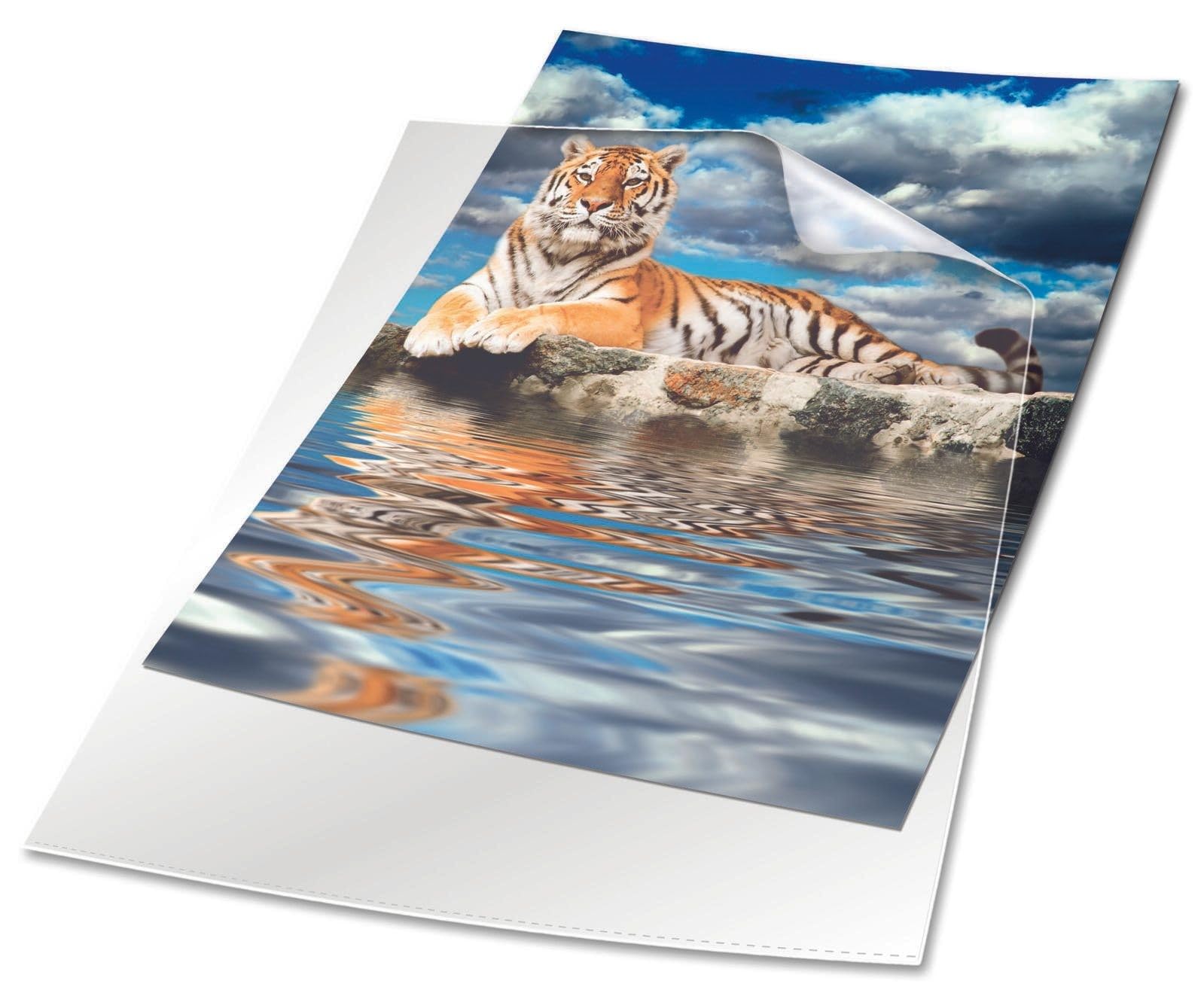 Durable Transparent Document Pockets A4 | Rigid Plastic Wallet with Thickness of 0.15 mm | Large Pack of 50 Clear Pockets