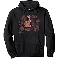 Amazon.com: Disney Lady And The Tramp Iconic Scene Logo Pullover