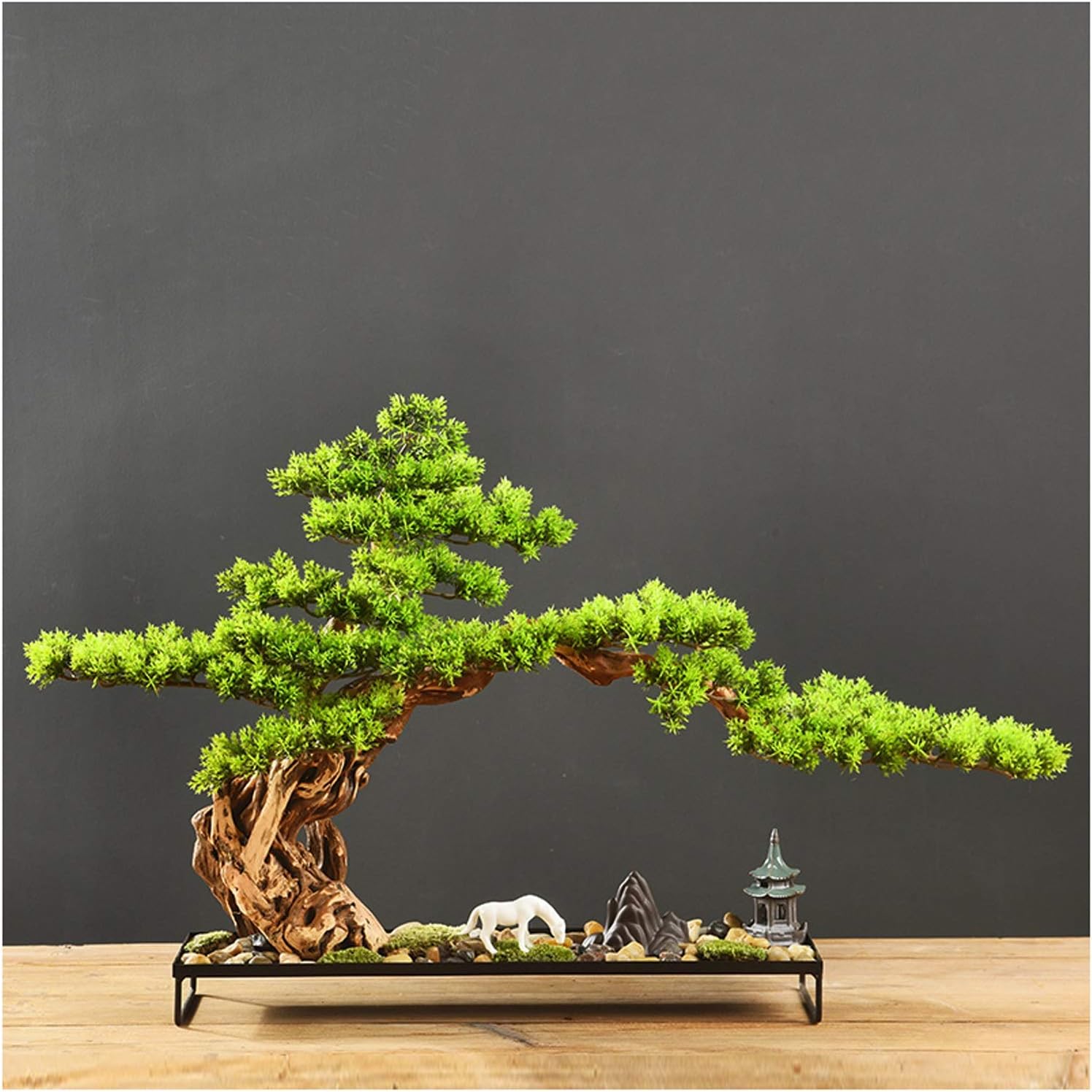 Chinesische Feng Shui Statue Pine Bonsai Plant Podocarpus