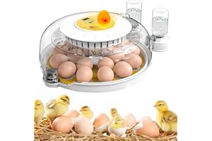 IROSIY Professional Egg Incubator – 360° Full View, Precise Temperature Control, Automatic Egg Turning, Perfect for Optimal Hatching