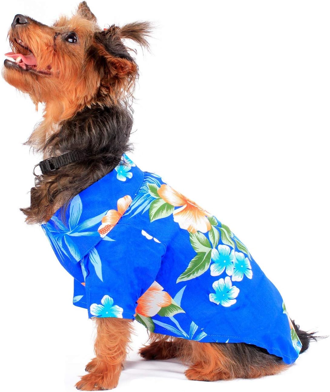 matching hawaiian shirts dog